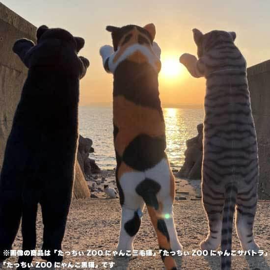 Amazon.co.jp: たっちぃZoo にゃんこ サバトラ 猫のぬいぐるみ : おもちゃ